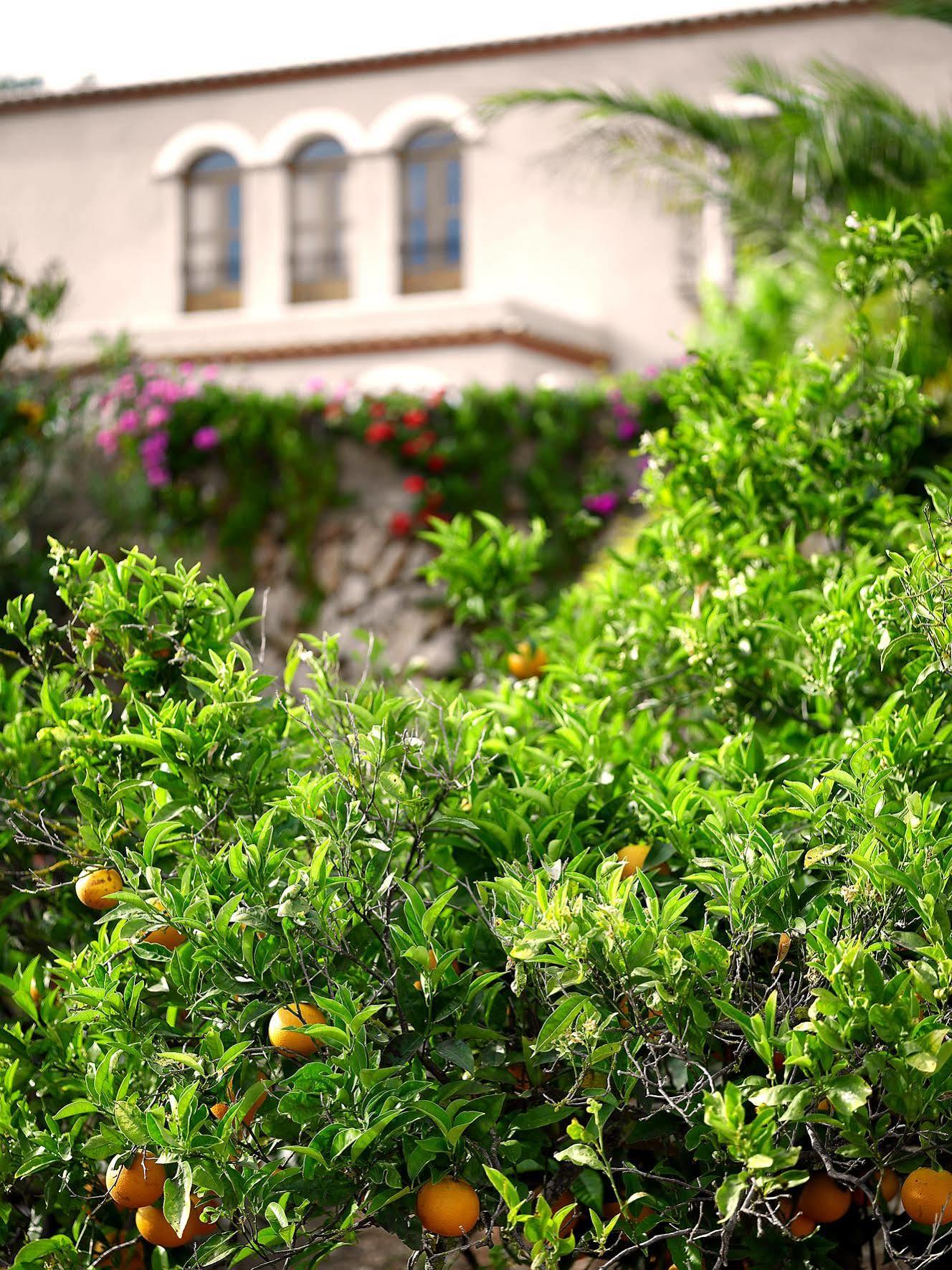 Agroturisme Can Planells Sant Miquel De Balansat Bagian luar foto